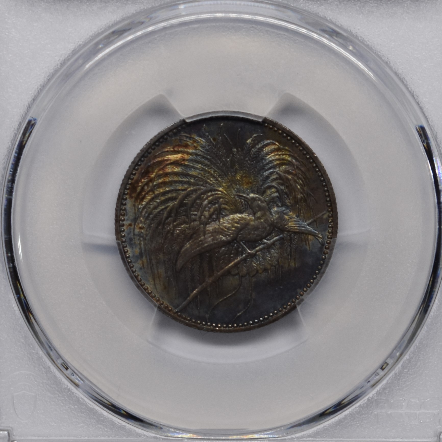 【Sold】1894-A ドイツ領ニューギニア 極楽鳥 1マルク銀貨 MS65 PCGS | ソブリンパートナーズ