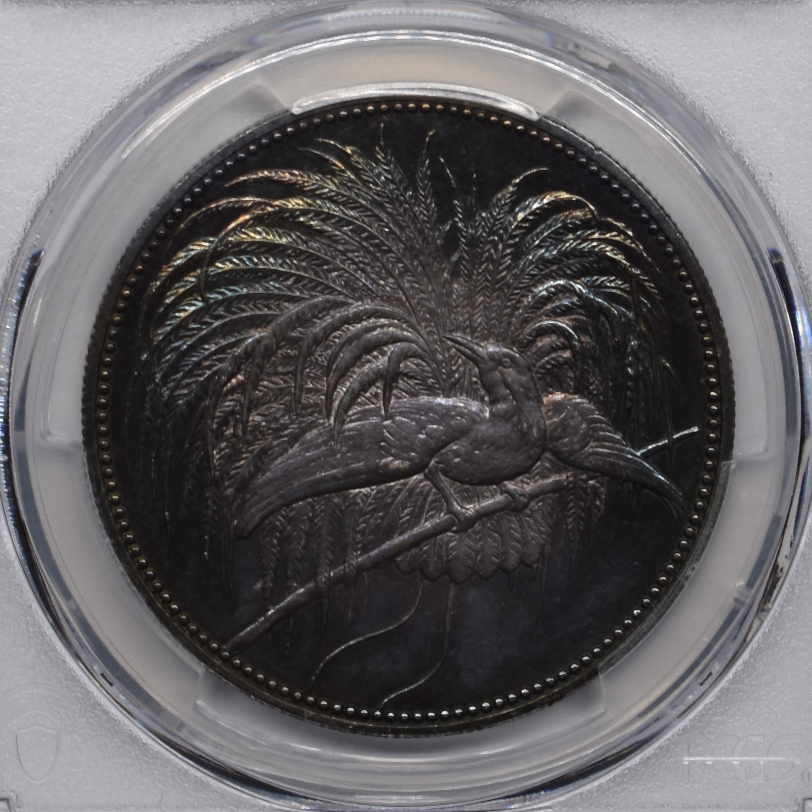 【Sold】【トーンが素晴らしい】1894年 極楽鳥 銀貨4枚セット 